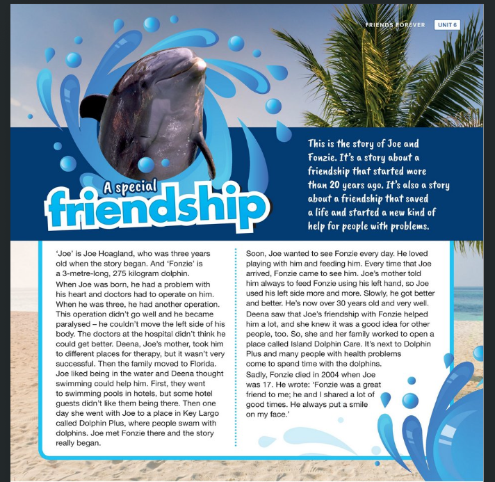 Joe and Fonzie dolphin friendship